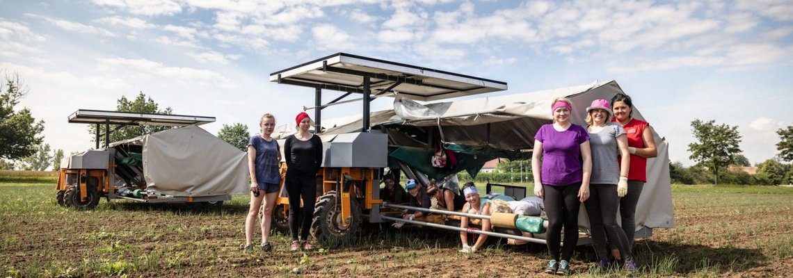 Mehrere Personen stehen um einen Jäteflieger herum auf einem Feld.